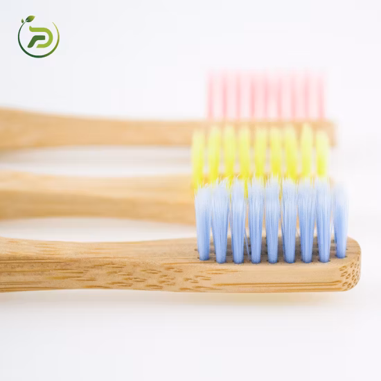 FDA BSCI Fsc Setole Medie Eco